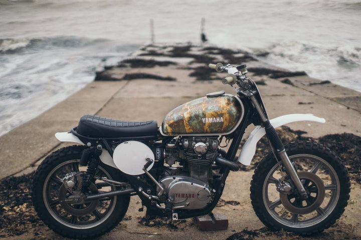 Issue 38 - Snakes, Sand & Storms