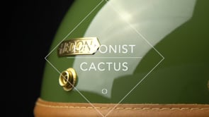 Hedonist Cactus | Last Chance
